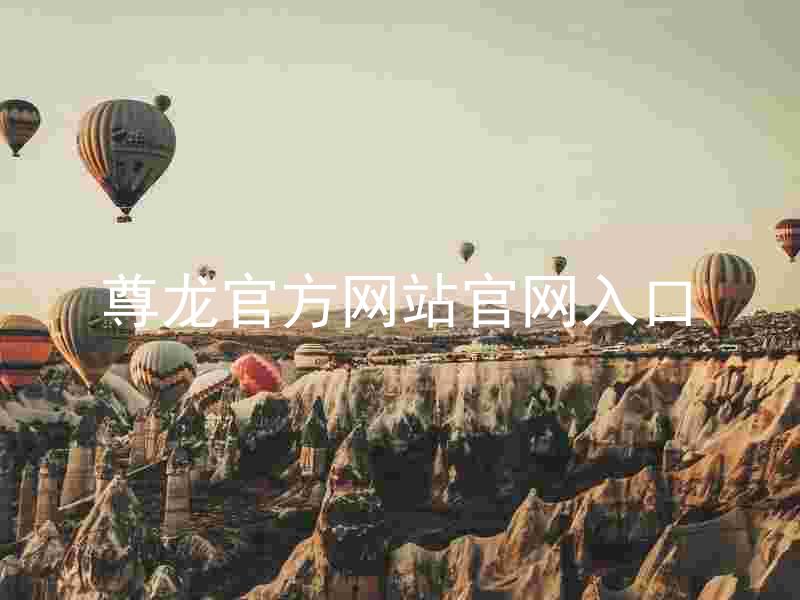 尊龙官方网站官网入口