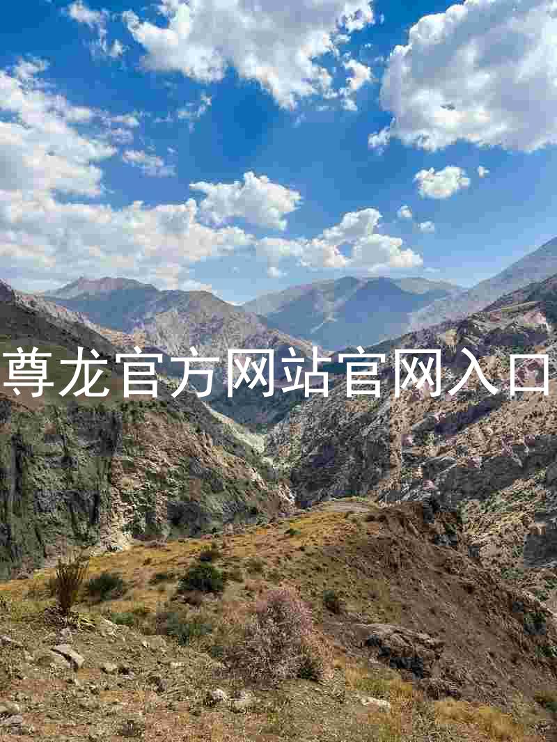尊龙官方网站官网入口