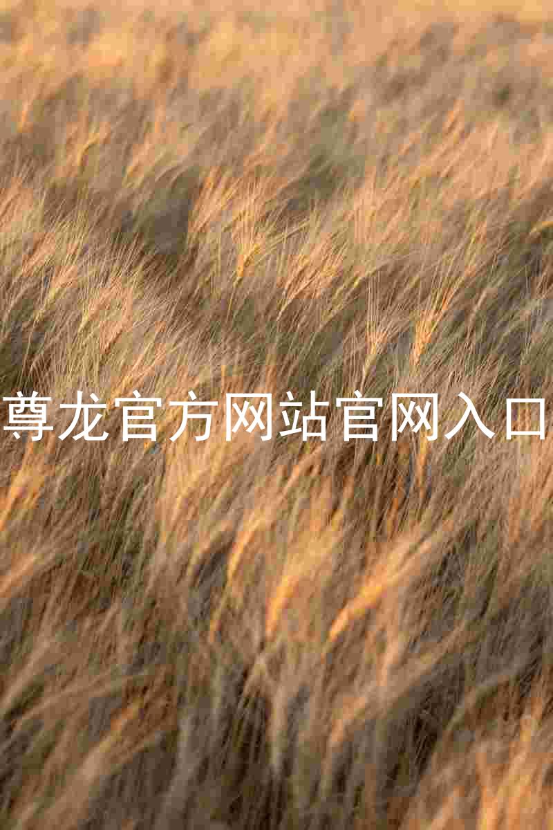 尊龙官方网站官网入口