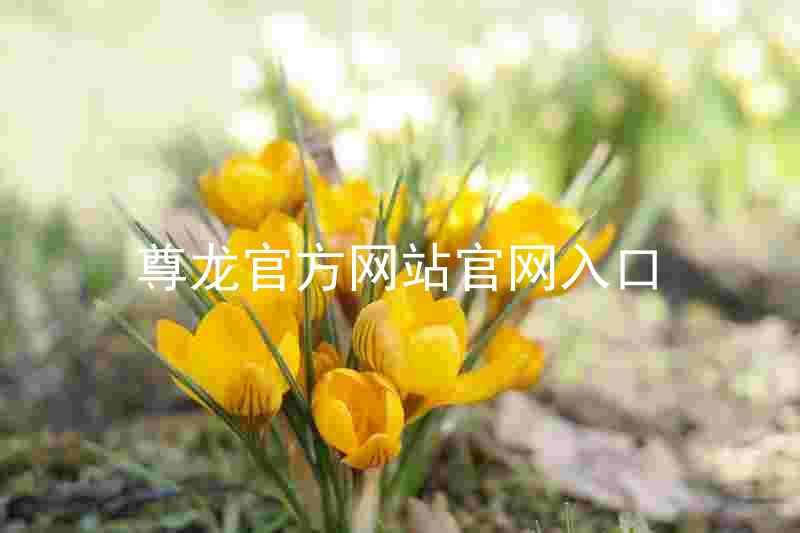 尊龙官方网站官网入口