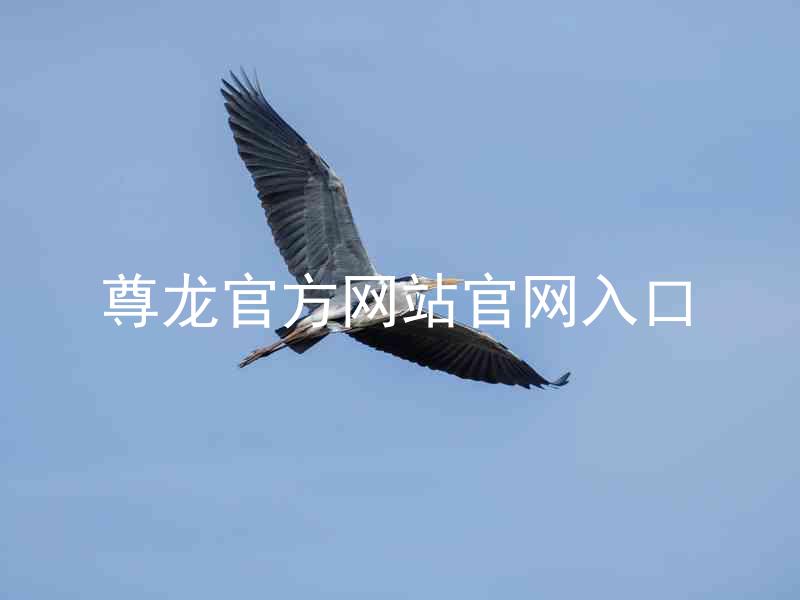 尊龙官方网站官网入口