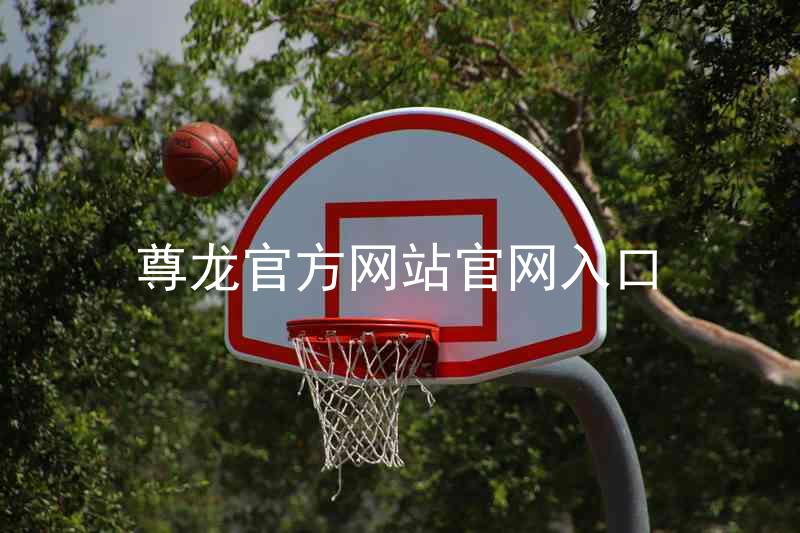 尊龙官方网站官网入口