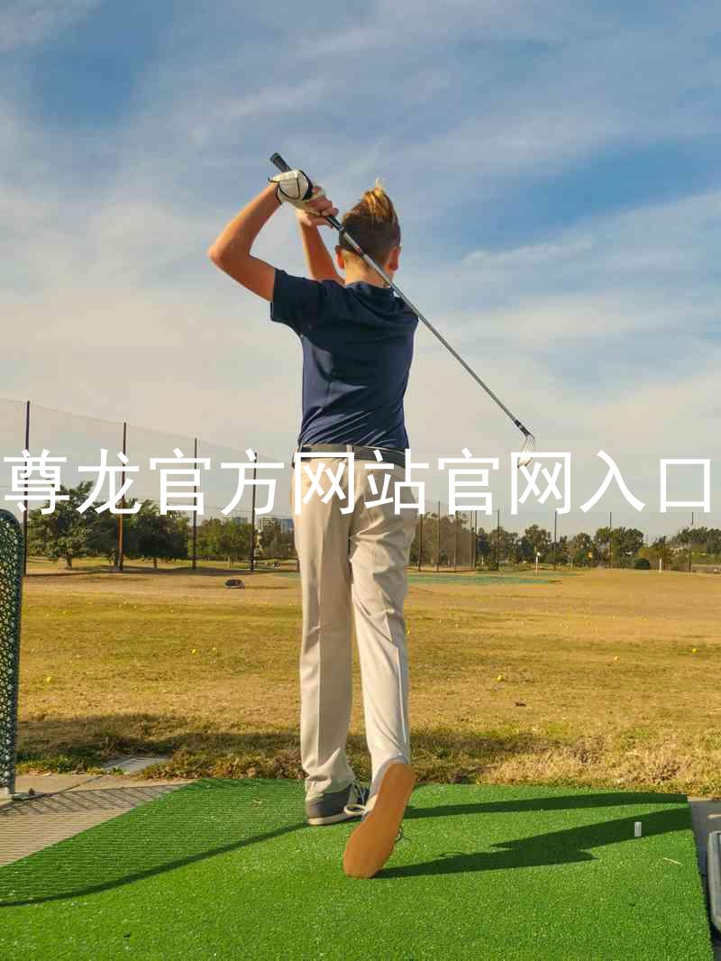 尊龙官方网站官网入口