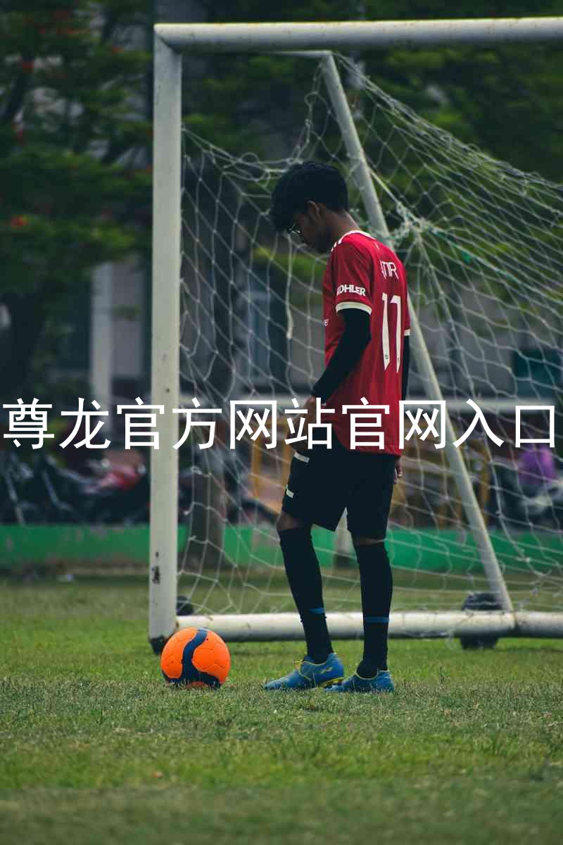 尊龙官方网站官网入口