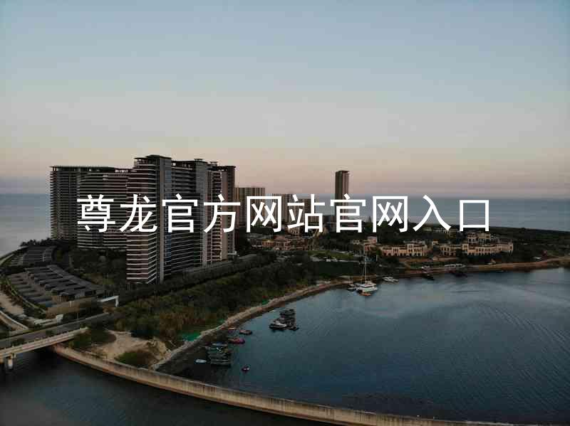 尊龙官方网站官网入口