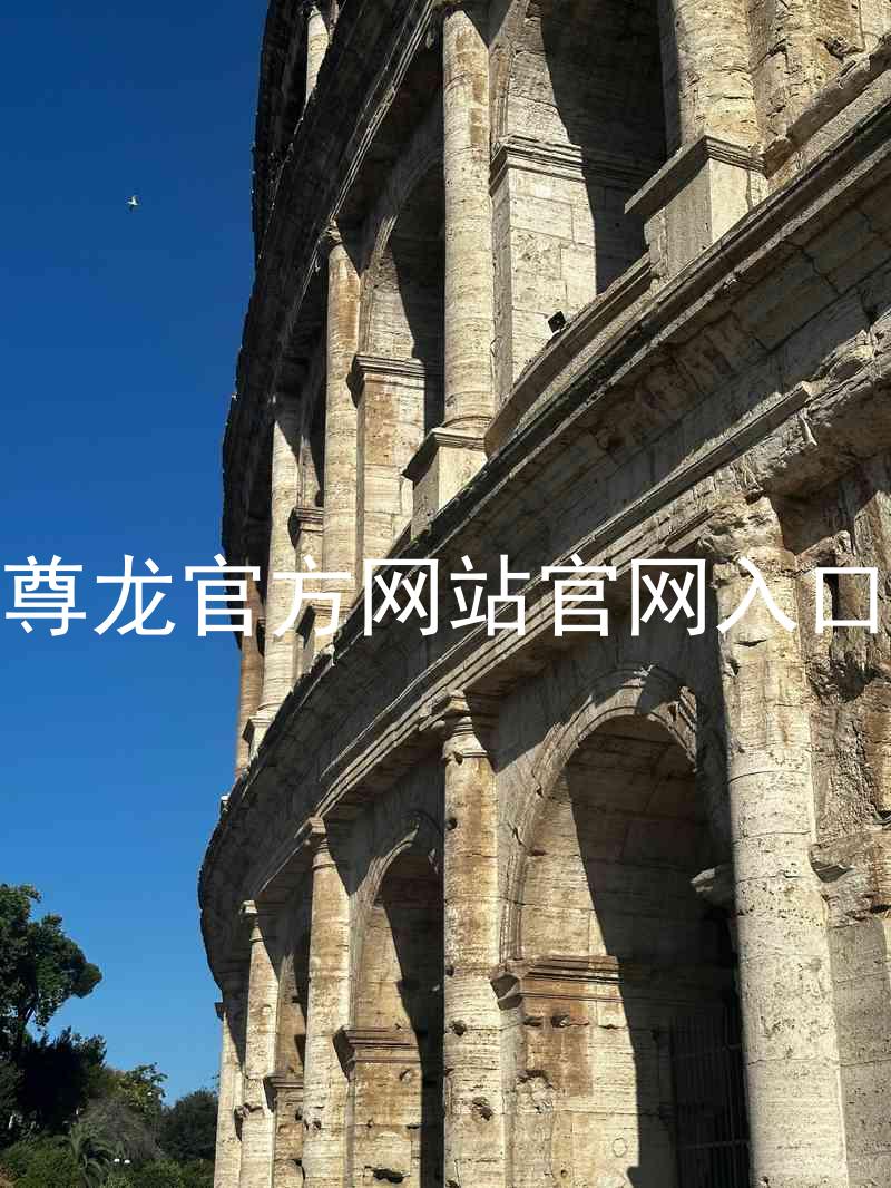 尊龙官方网站官网入口