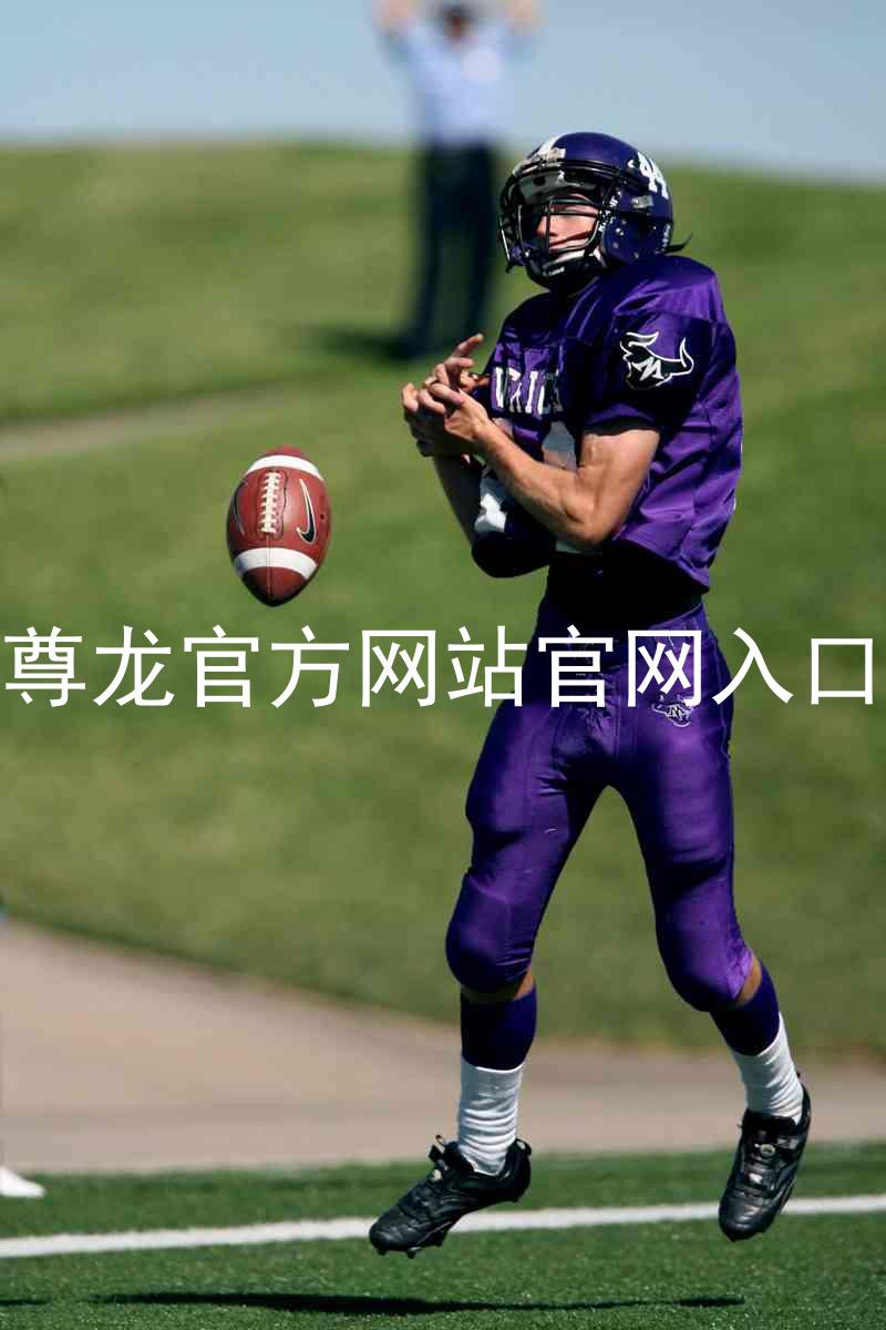 尊龙官方网站官网入口